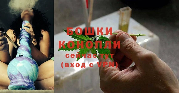 PSILOCYBIN Костерёво