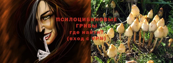 PSILOCYBIN Костерёво