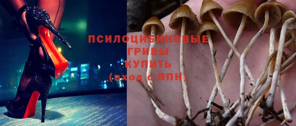 спиды Корсаков