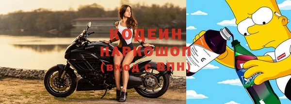PSILOCYBIN Костерёво