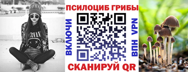 Купить закладки  Горняк  Галлюциногенные грибы Psilocybine cubensis 