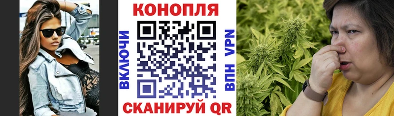 Купить  Горняк  Канабис планчик 